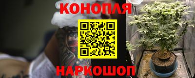 МДПВ Волгодонск