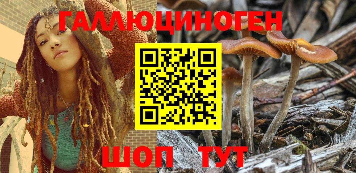 Галлюциногенные грибы Magic Shrooms Баксан