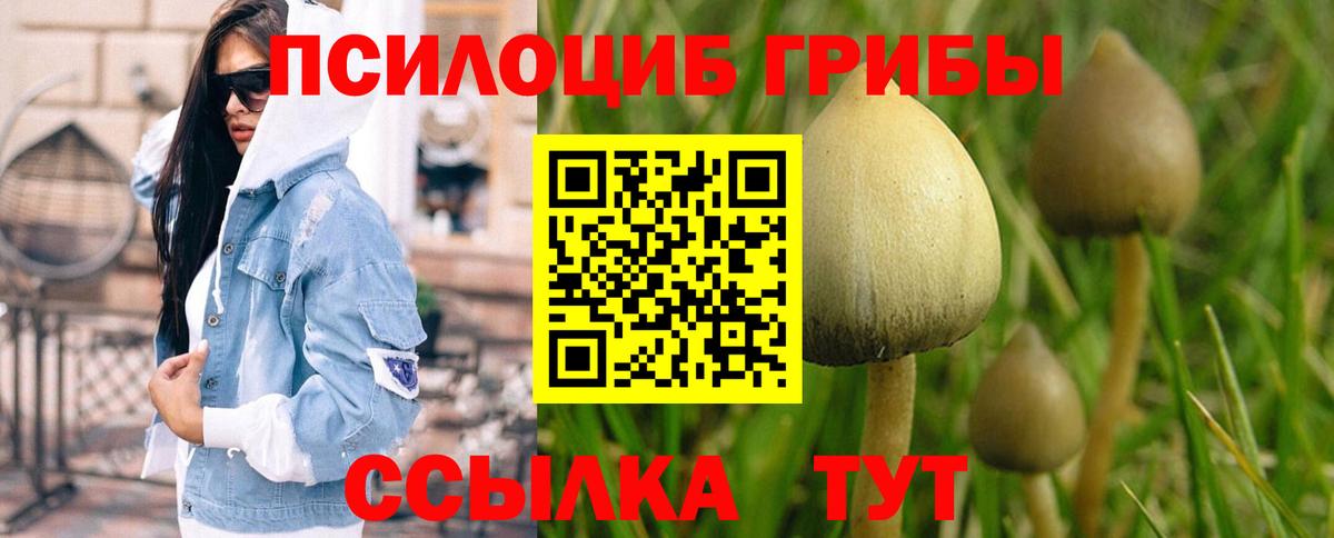 Баксан  Псилоцибиновые грибы ЛСД  Вход с VPN 